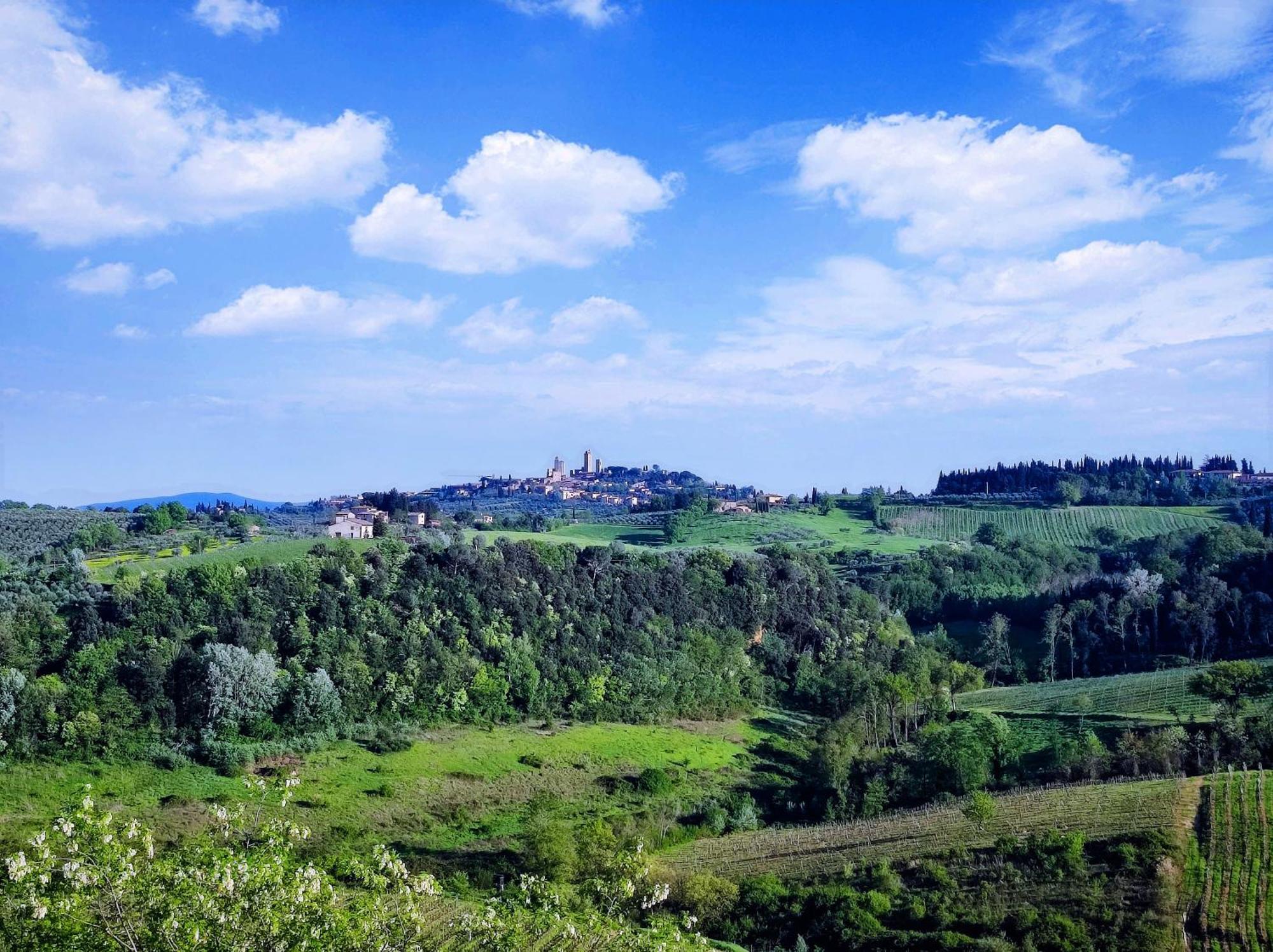 Apartment Flavia 's With View San Gimignano